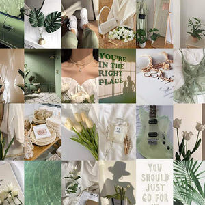 Meet your Posher, Eliza